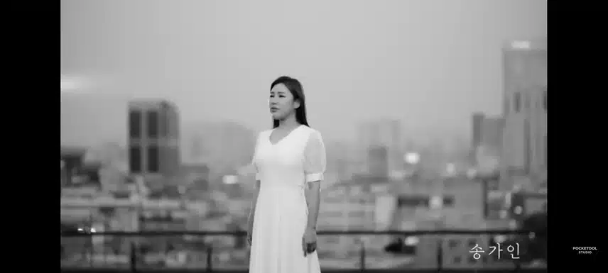 도입부부터 레전드인 월하가약