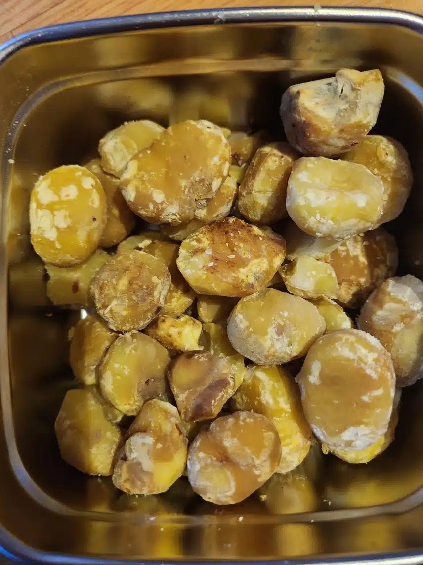 찐 밤