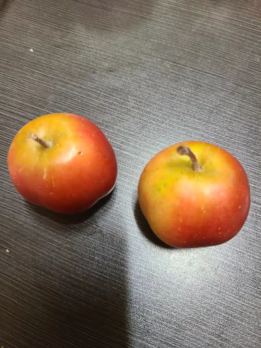 사과 두알  