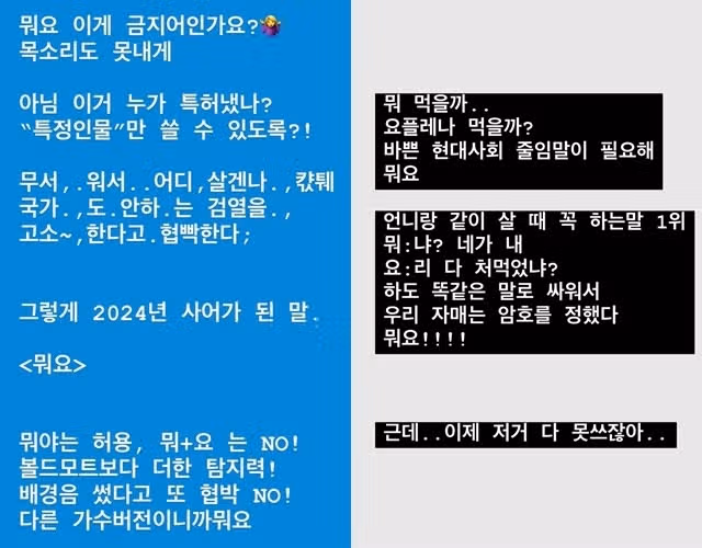 유튜버 엄은향, 임영웅 “뭐요” 패러디 팬들 고소 협박