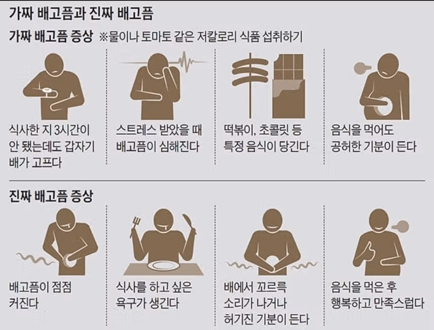 *[가짜 배고픔과 진짜배고픔!!] 배고플 때 ‘이것’ 한 잔, 살 빼는 데 도움 된다!