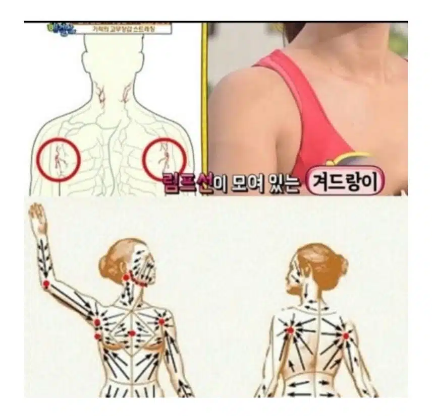 *독소 배출을 위한 겨드랑이 림프치기!💪