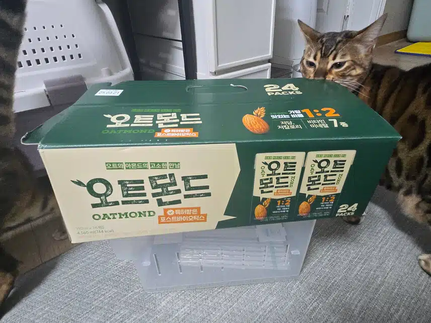 *캐시로 오트몬드 구입했어요😁