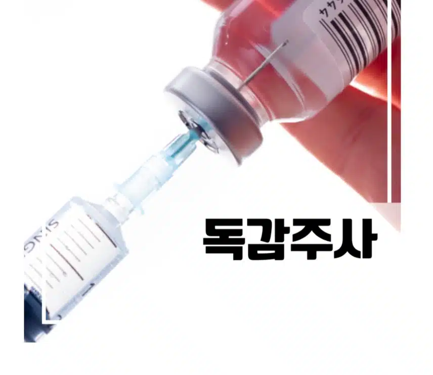 (질문)독감주사 맞으셨나요?💉