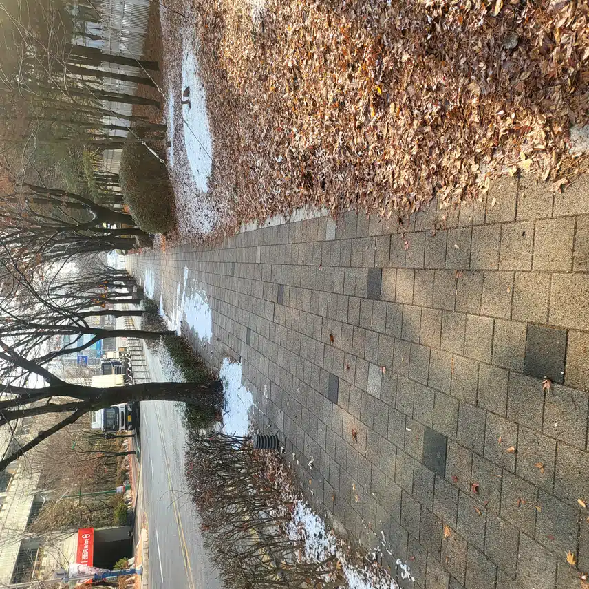 산책중 