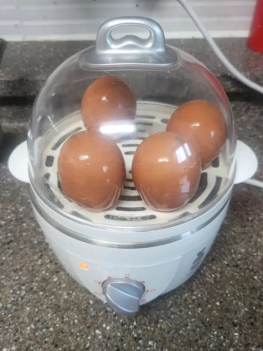 계란 삶아서 아침 준비했어요.