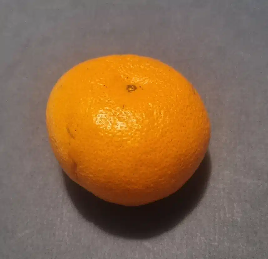 저녁 후식 귤 한개 🍊먹어요