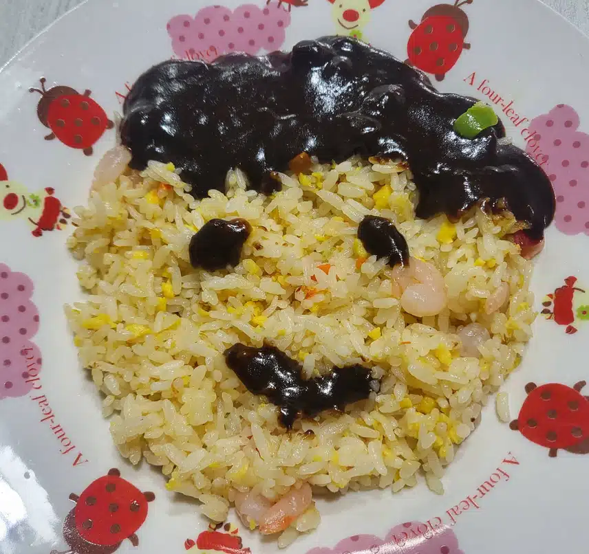 급 만든 볶음밥