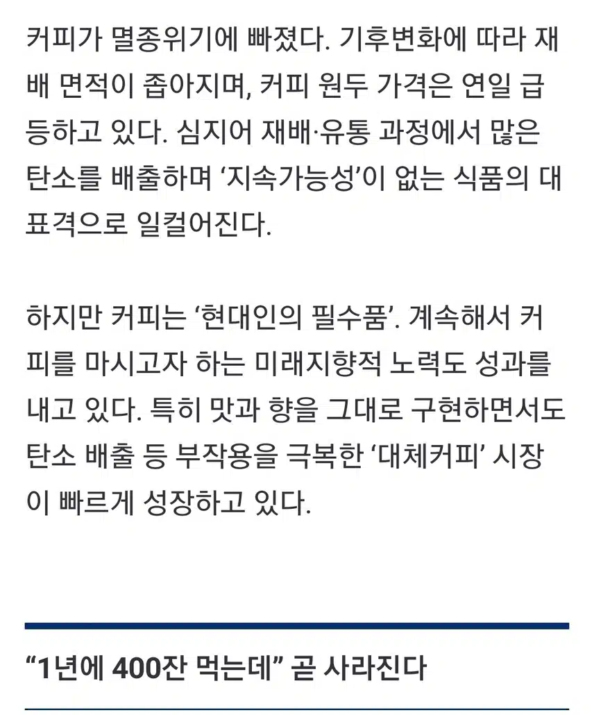 커피도 가짜 커피가 있다?
