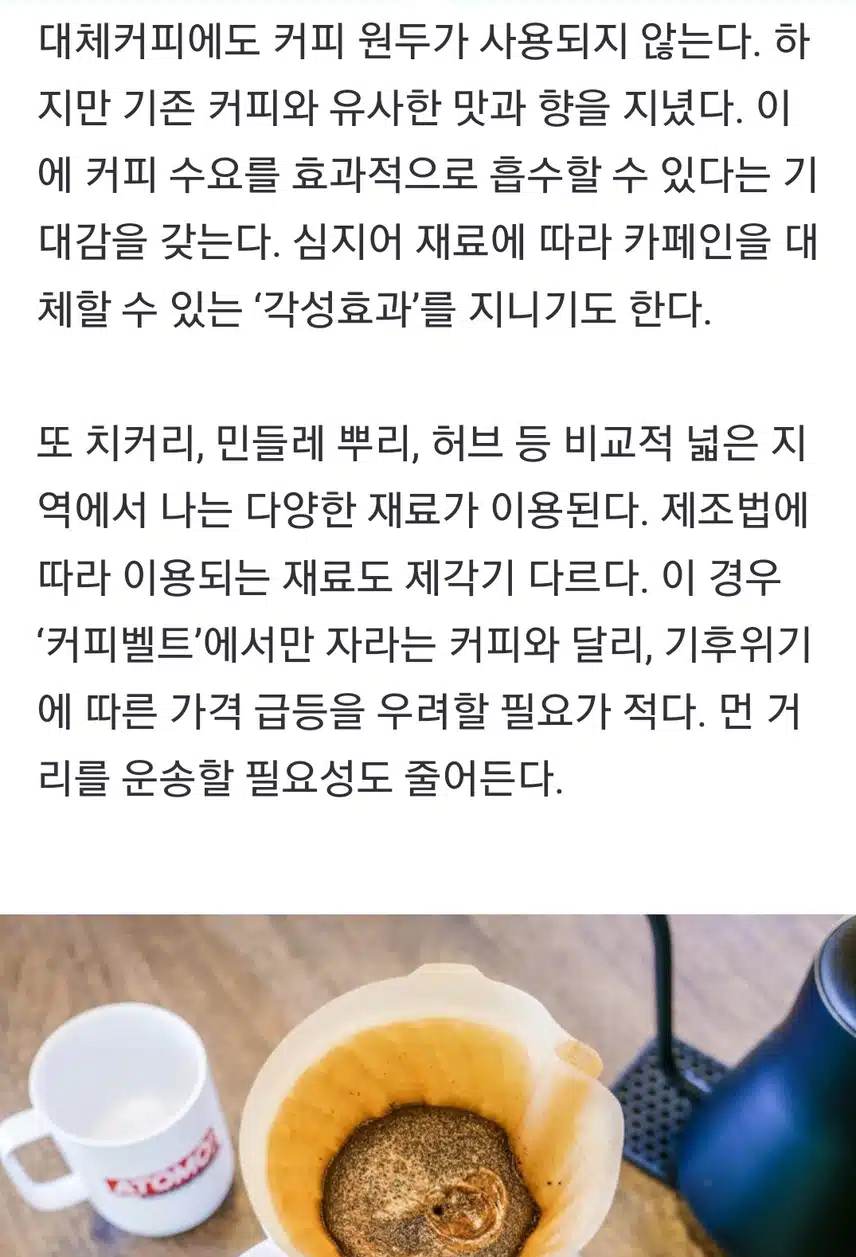 커피도 가짜 커피가 있다?