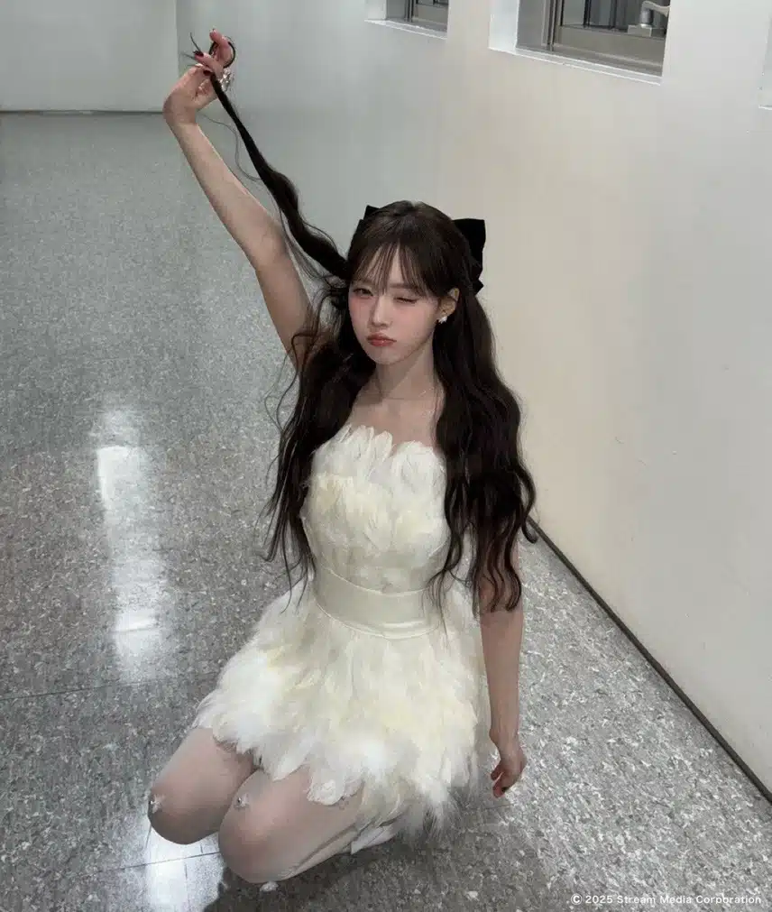 드레스 윈터 사진jpg
