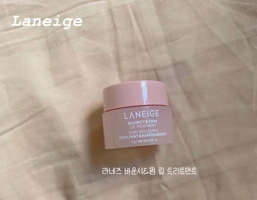 ❣️립밤덕후의 건조한 겨울 입술 상태별 립밤 추천💖