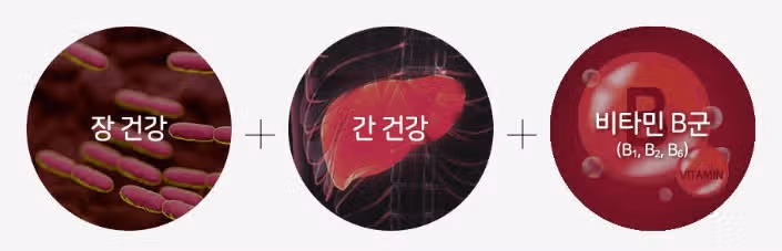 락토핏 간케어 (캐시딜 오늘까지 10%세일해요 )