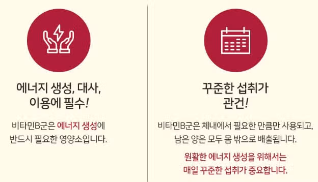 락토핏 간케어 (캐시딜 오늘까지 10%세일해요 )