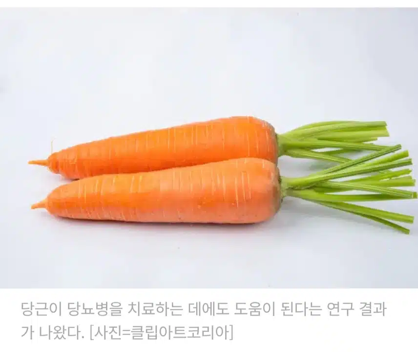 당근🥕🥕이 당뇨병 치료에 도움 될까?🤔🤔