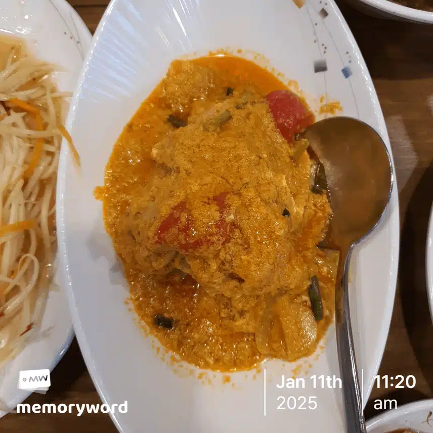오늘