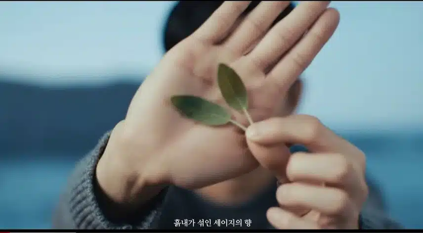 조말론 런던 우드 세이지 앤 씨 솔트~ 지금까지 김수현이었습니다