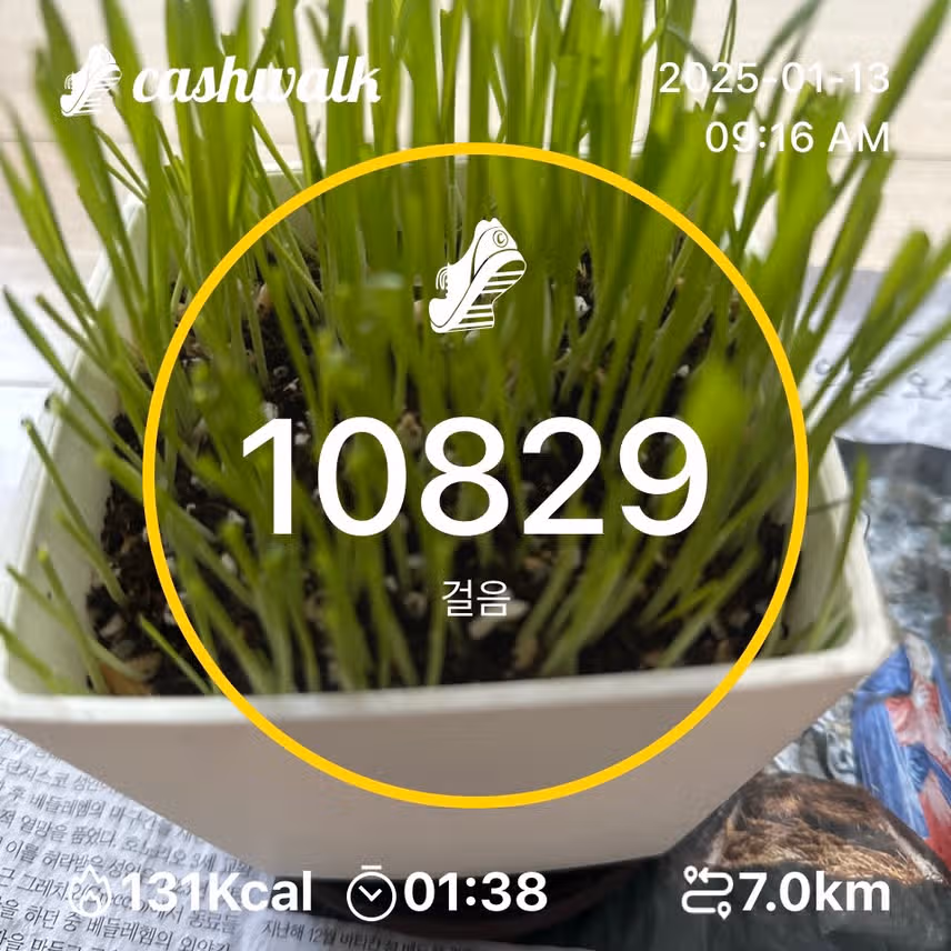 인증