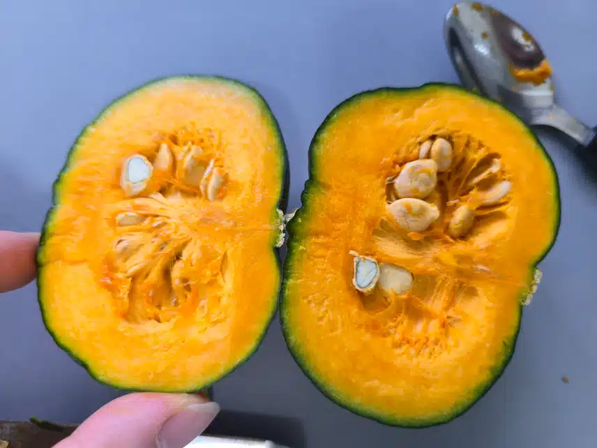 *밤호박 맛도 효능도 좋네요~😃