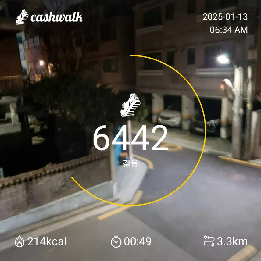 6000  보 걷기?