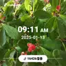 board-img