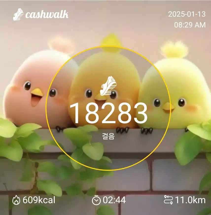 인증