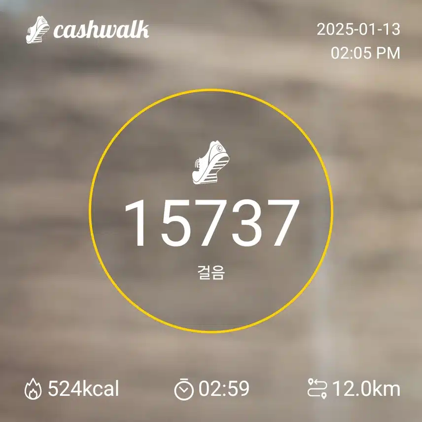 인증