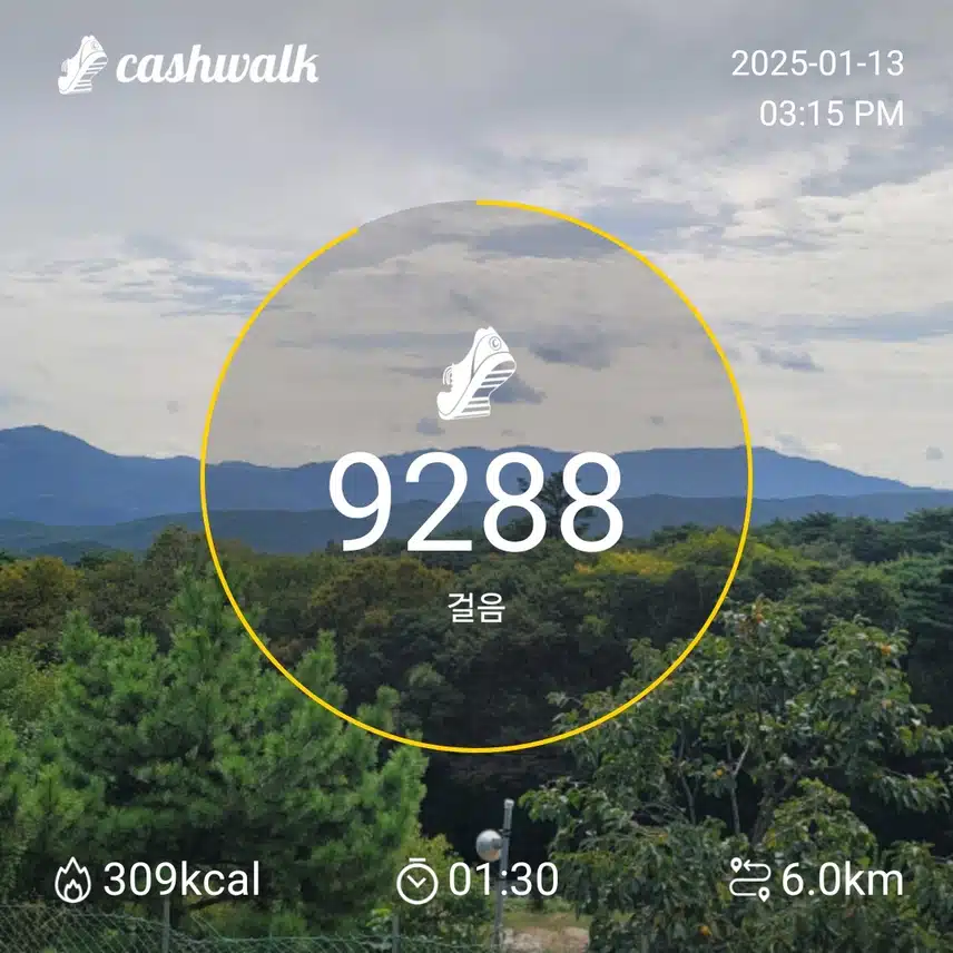 인증 