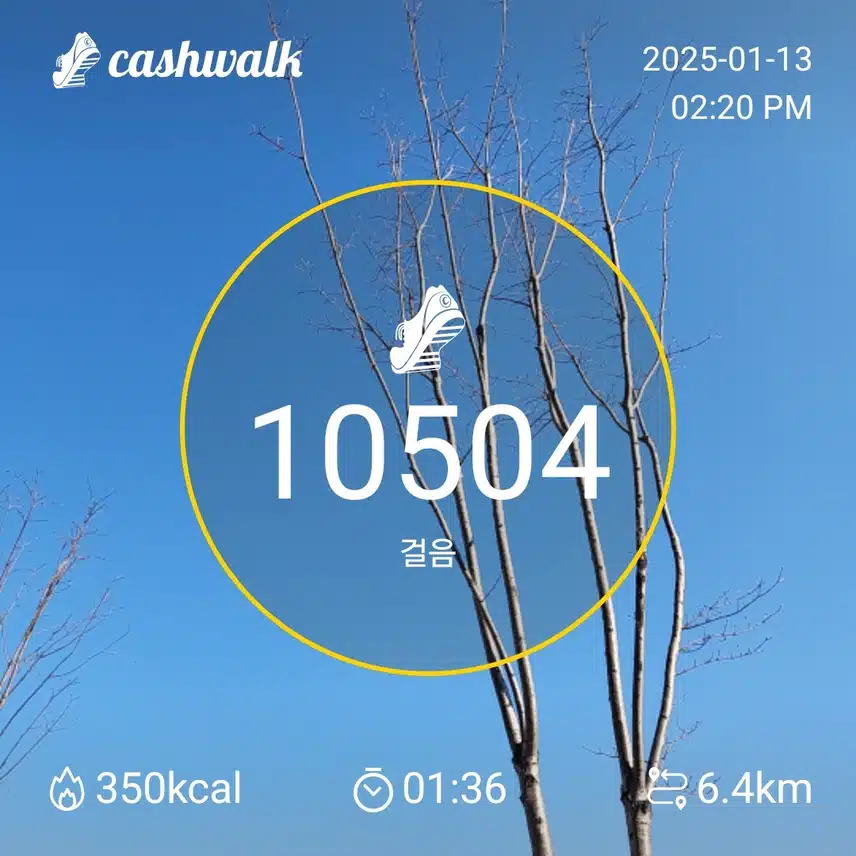 인증