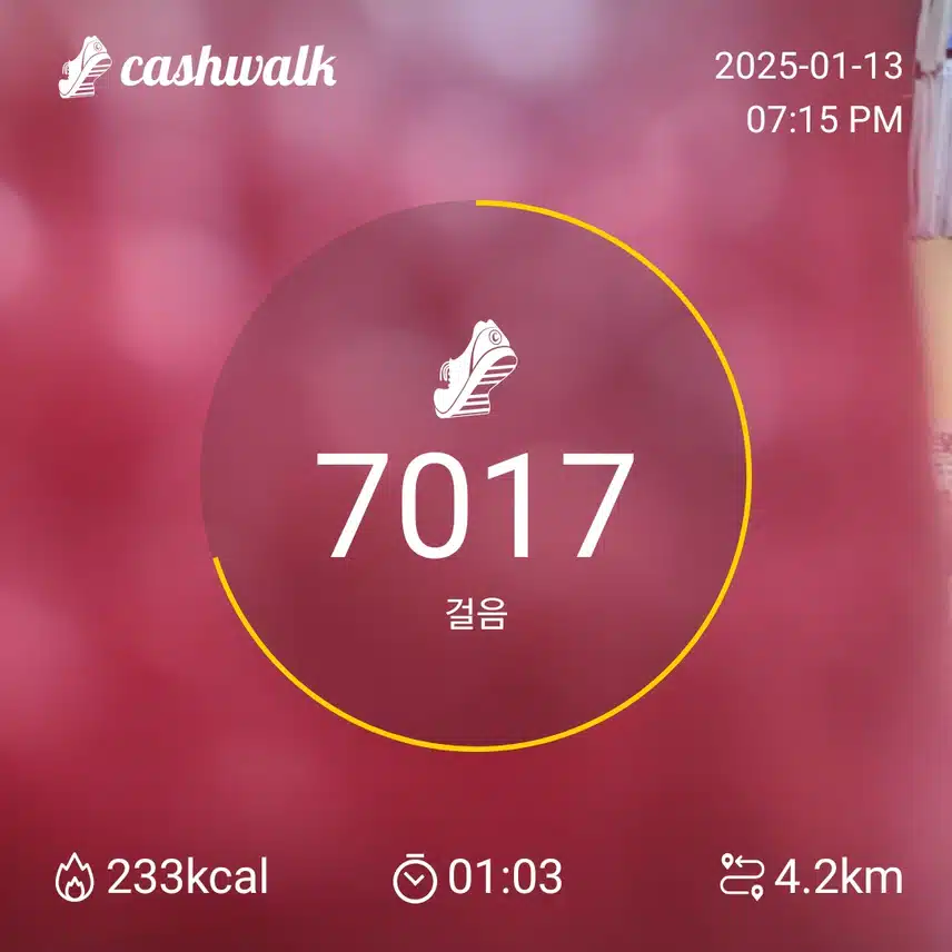 인증 