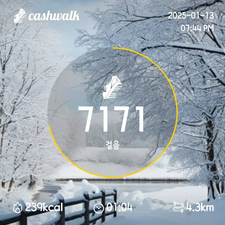 1일차