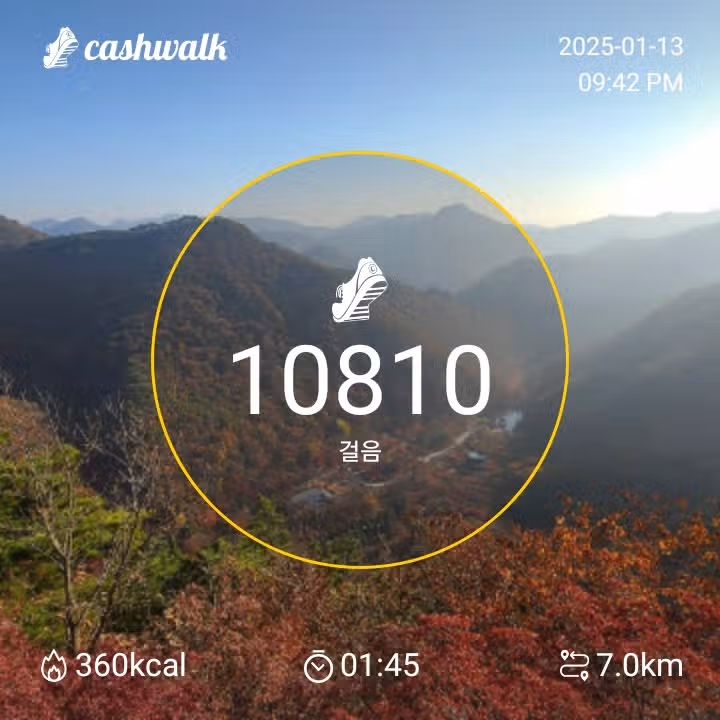 인증