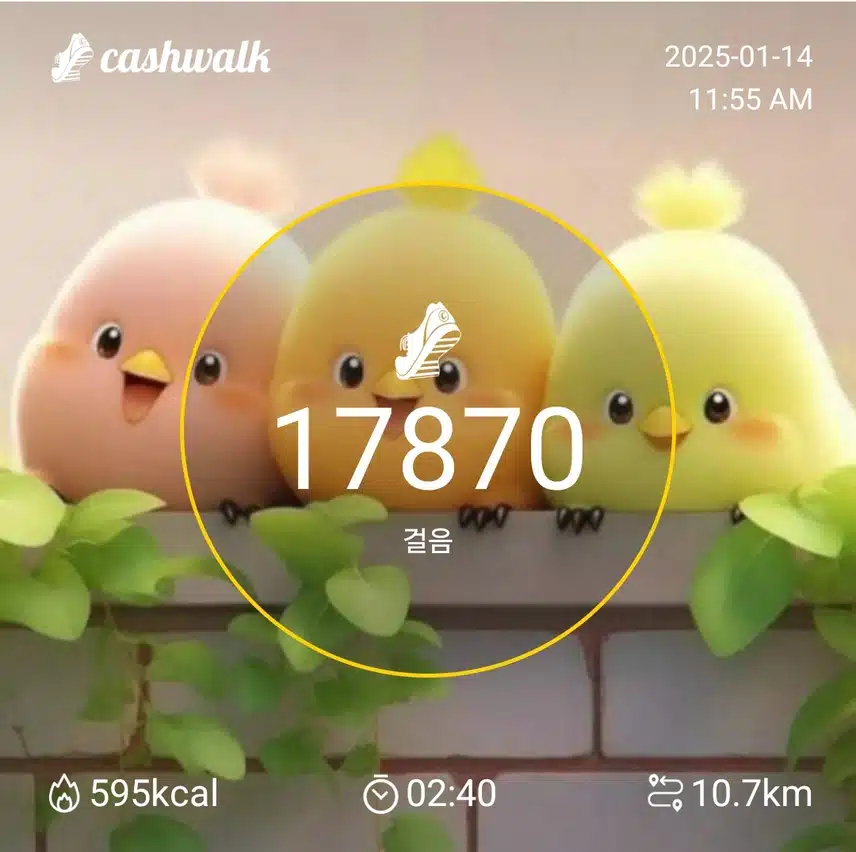 인증
