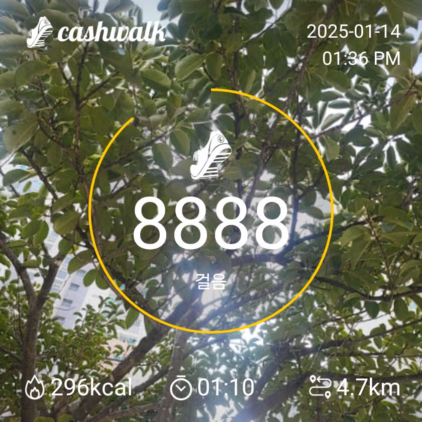 인증 