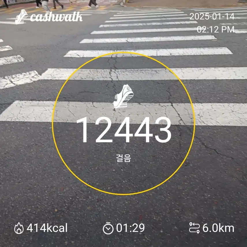 인증 