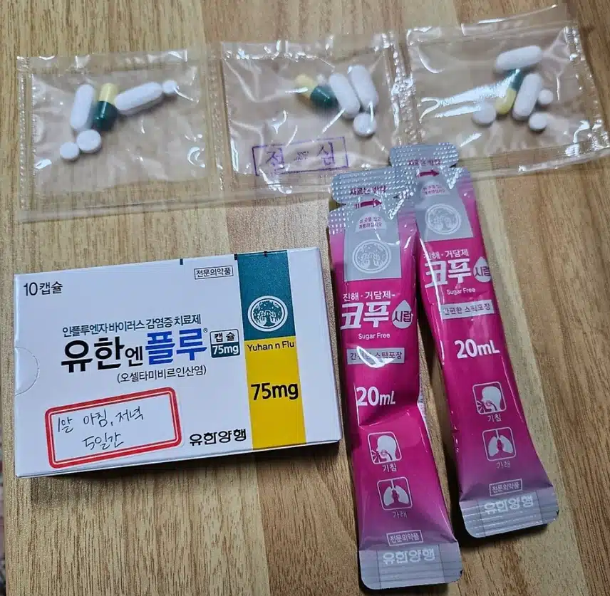 독감증상 종류와 예방 초기증상및 회복기간 치료 방법 후기 입니다