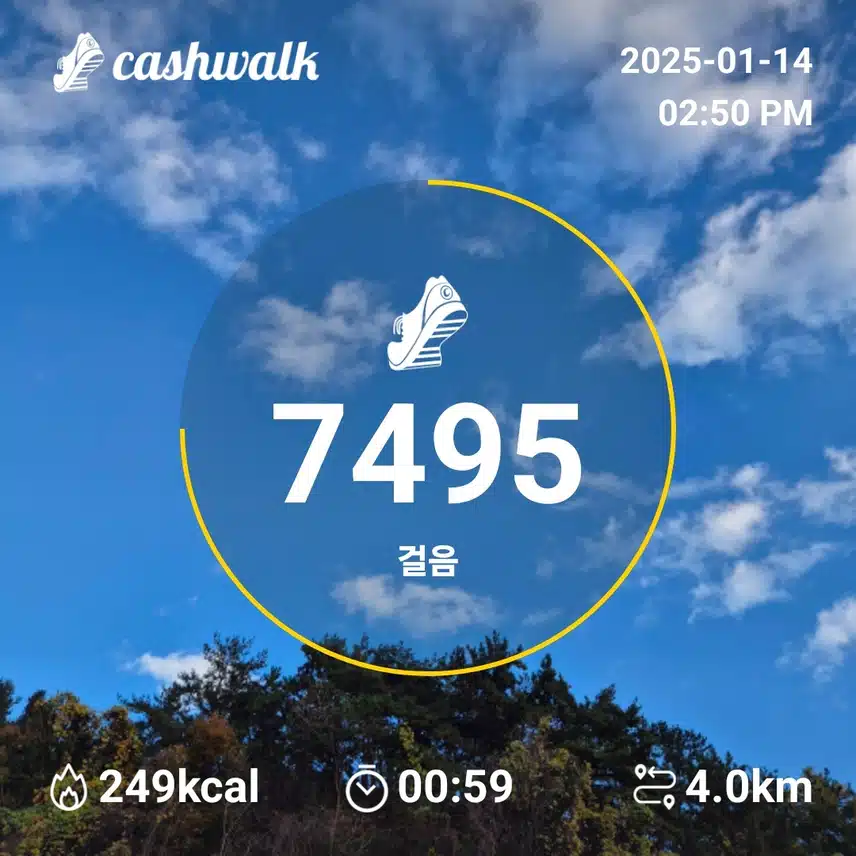 인증