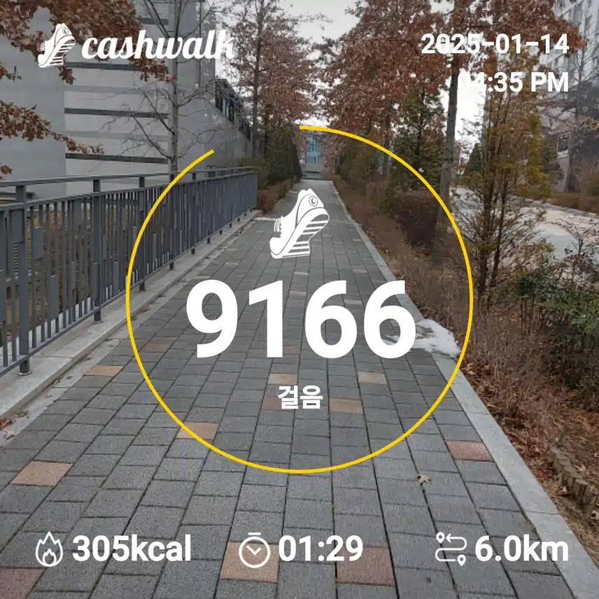 인증