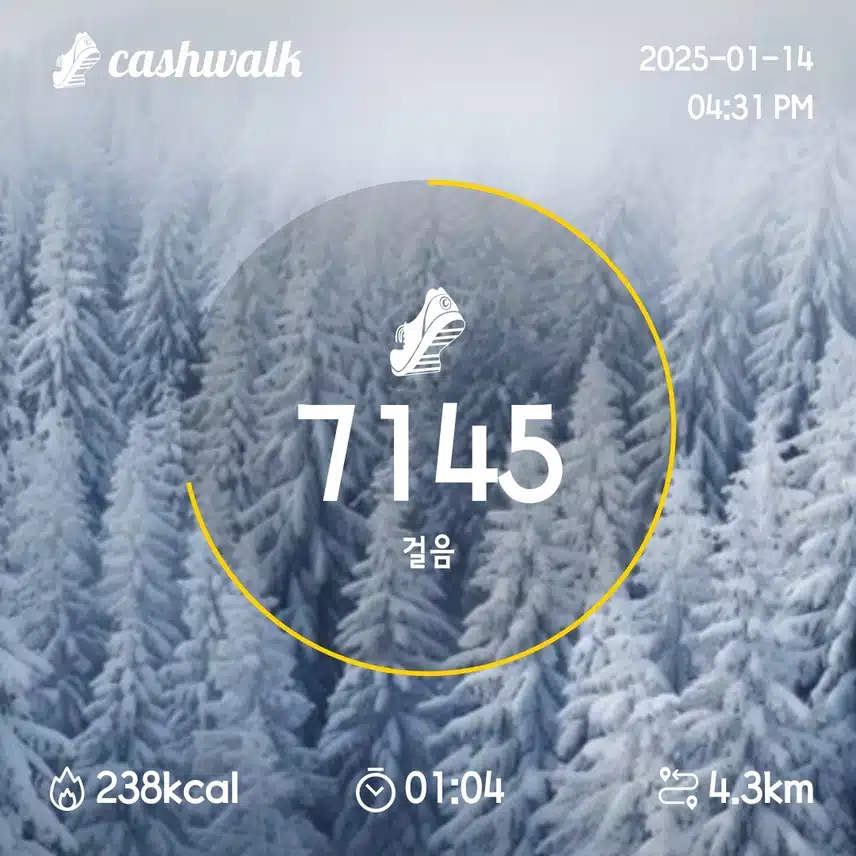 2일차 