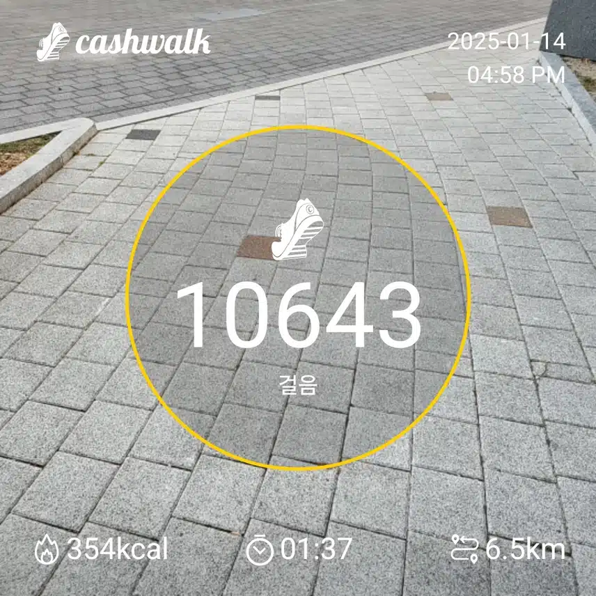 인증