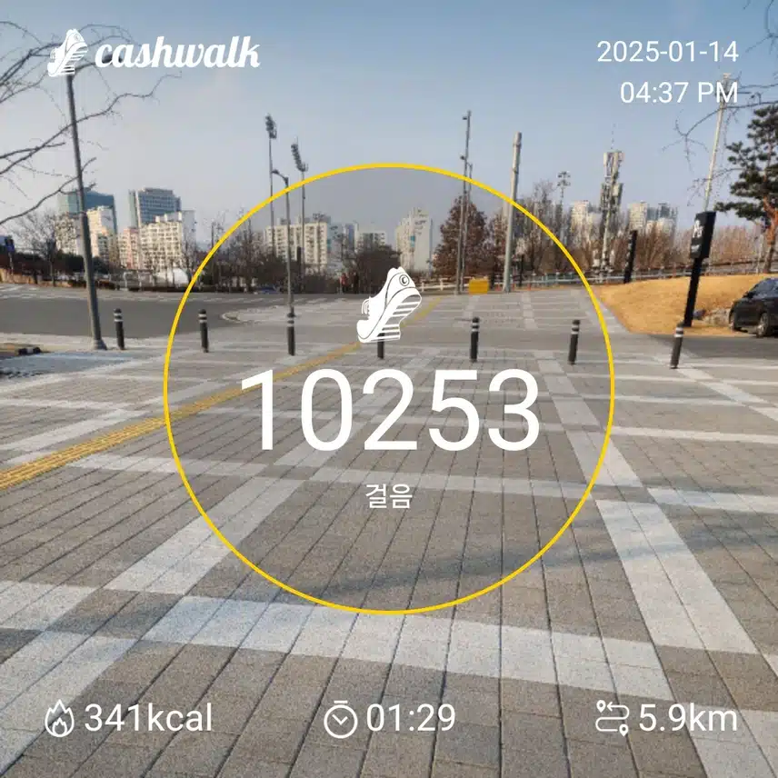 인증