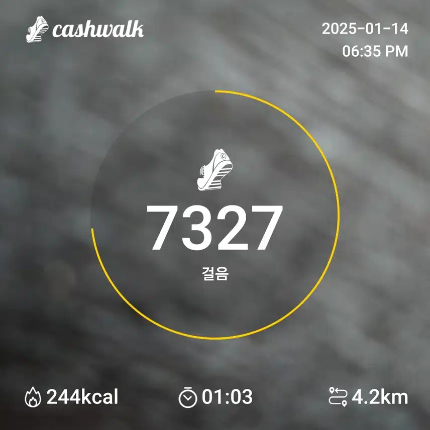 인증