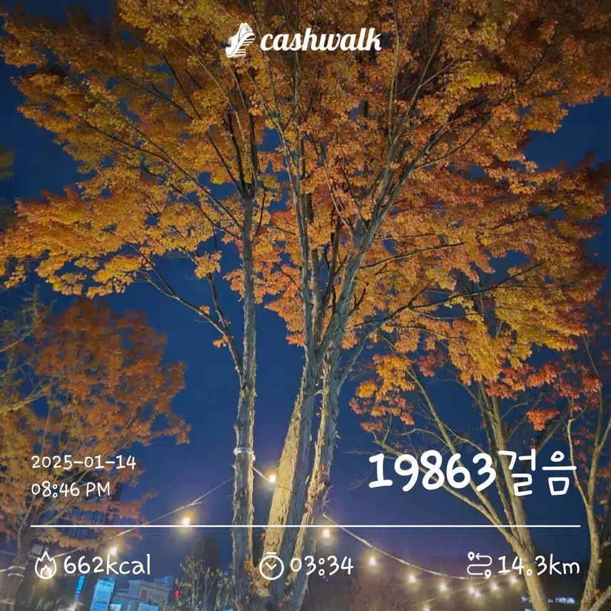 명절 산양산삼 하루 7천보 2일차 인증