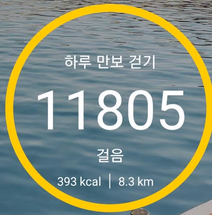 미션완료