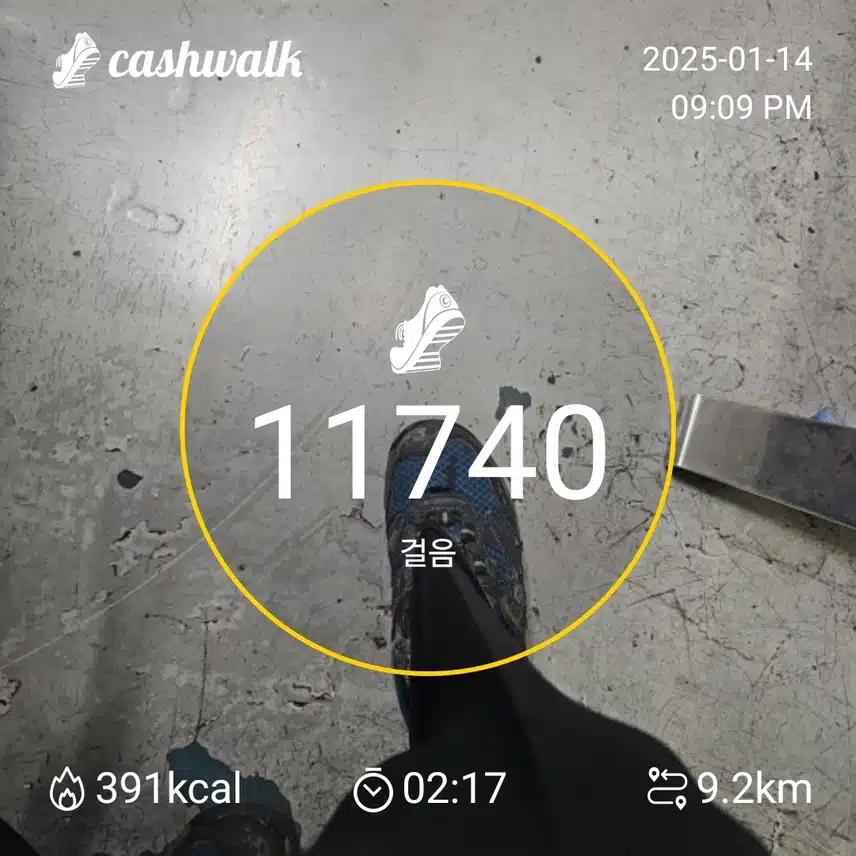 인증