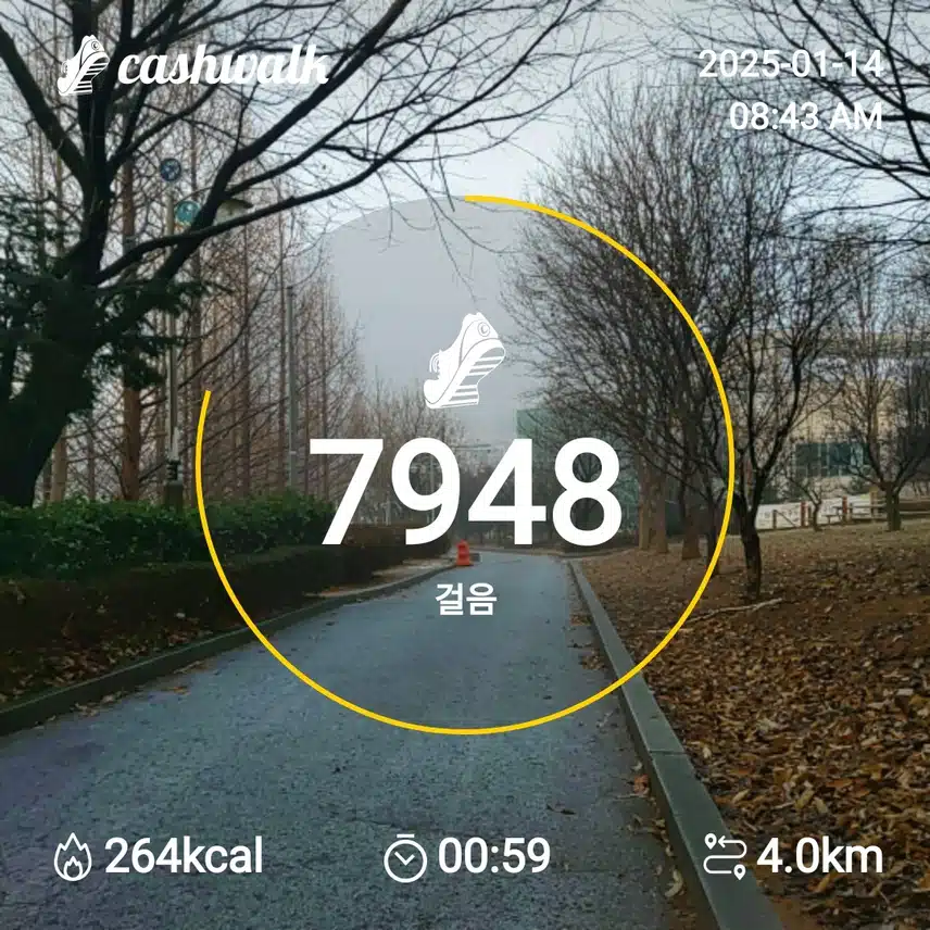 인증