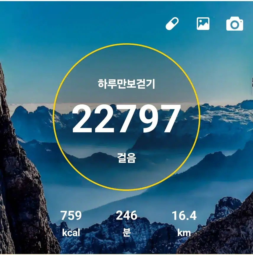 명절산양산삼침향환하루7천보걷기챌린지2일차인증샷