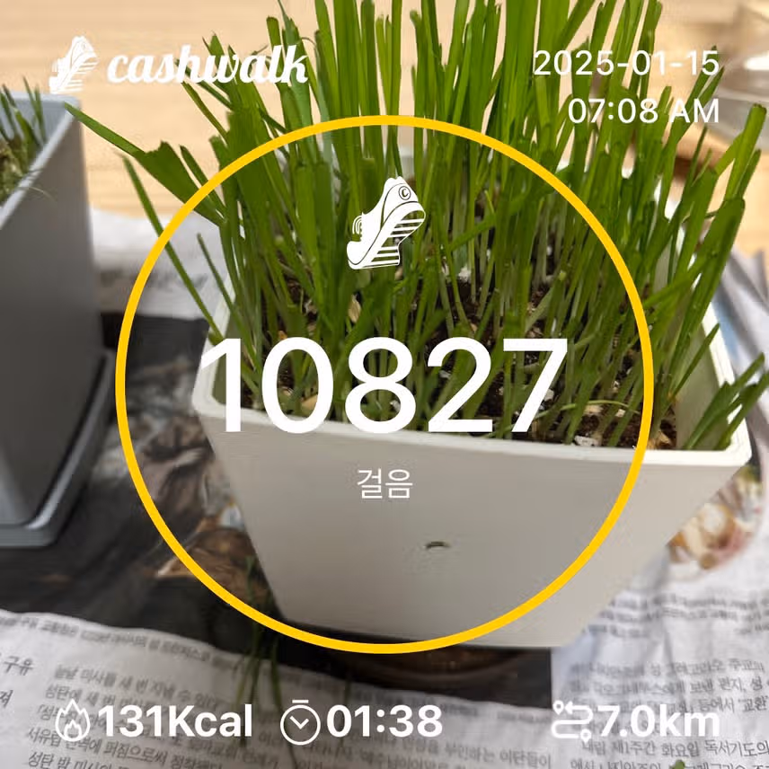 인증