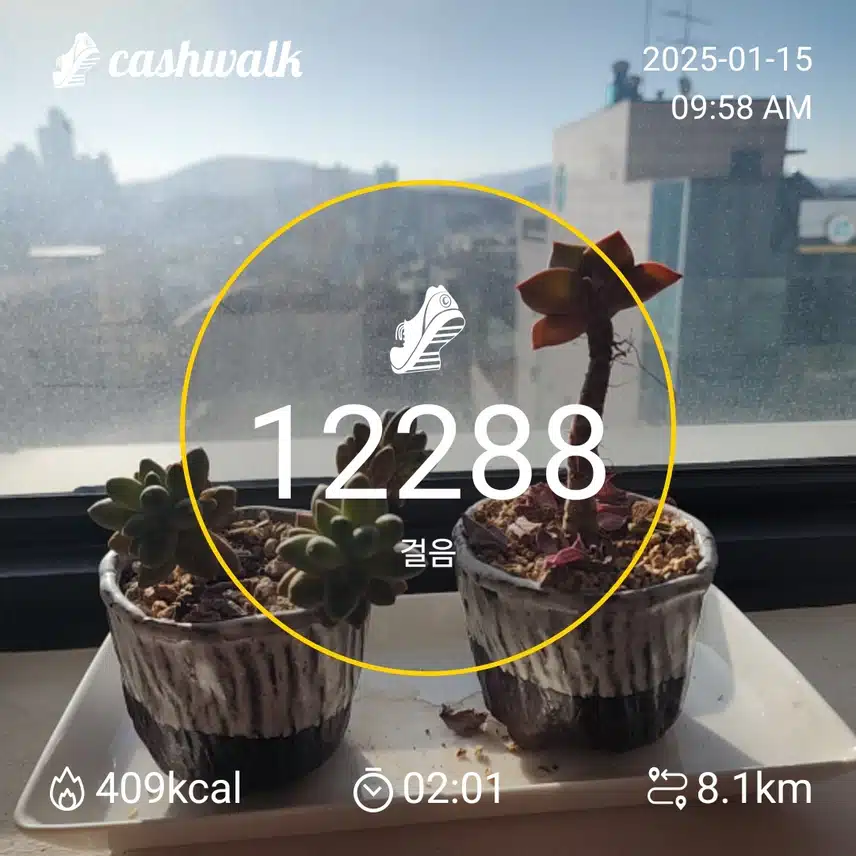 인증