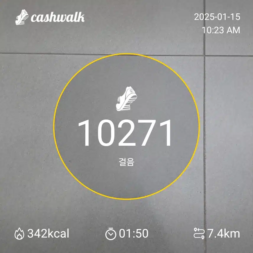 인증 